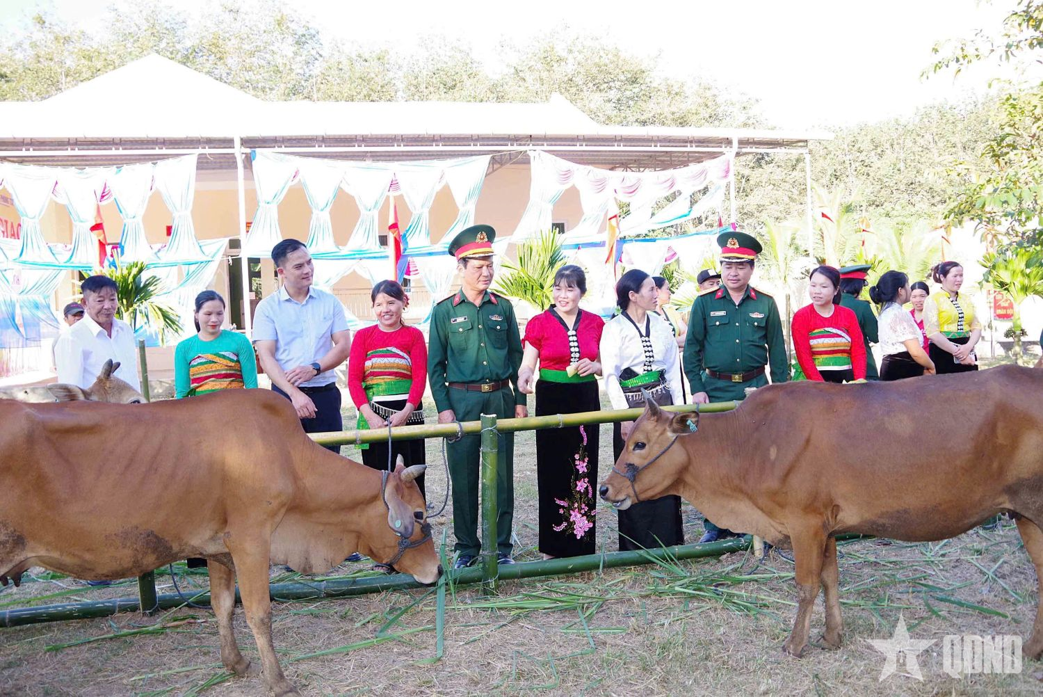 Quảng Ngãi: Đoàn Kinh tế - Quốc phòng 732 bàn giao bò giống cho hộ nghèo, cận nghèo